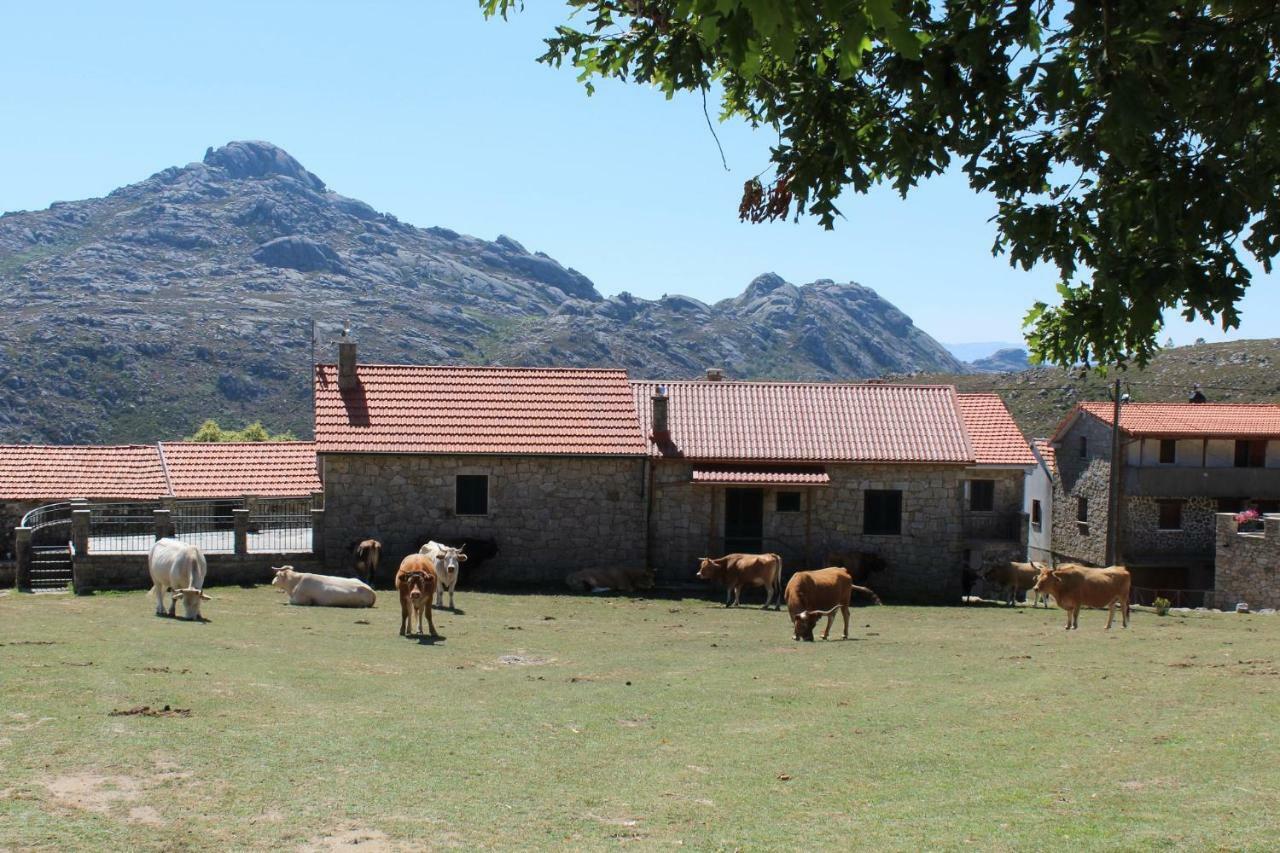 Casa Do Azevim